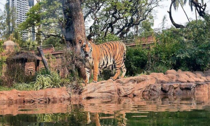दिल्ली चिड़ियाघर का होगा मेगा मेकओवर, 400 करोड़ की परियोजना से बदल जाएगी सैर का अनुभव