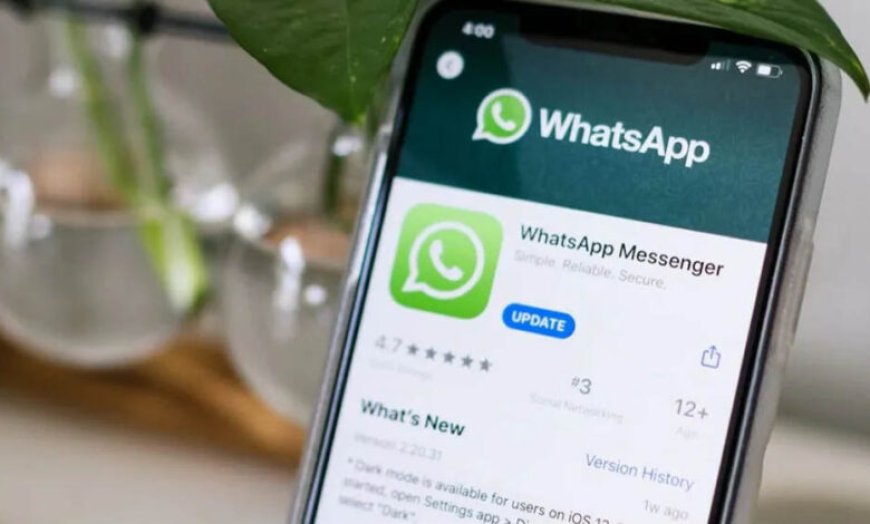 WhatsApp Username Feature पर कंपनी की सफाई, फ्रॉड बढ़ने के दावों पर दिए 7 बड़े जवाब