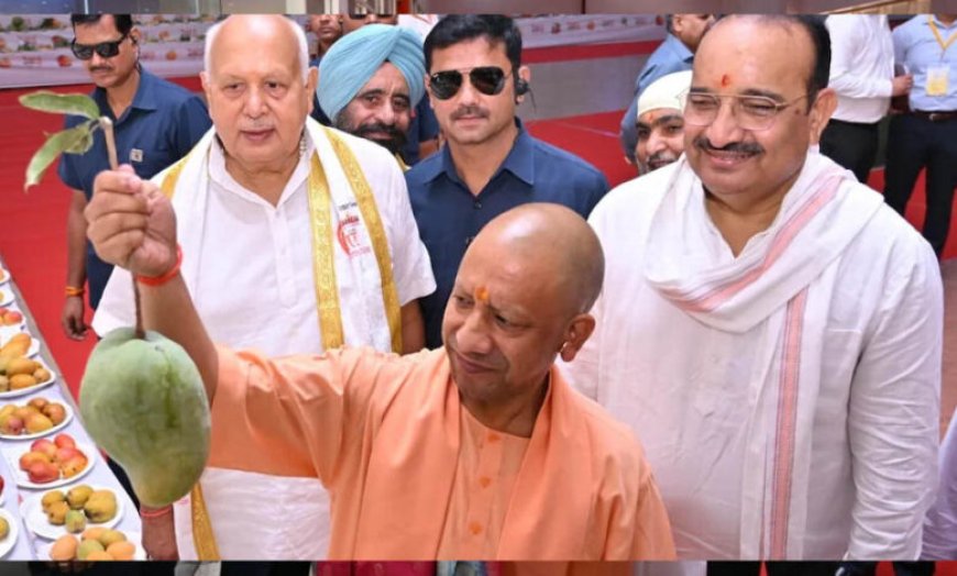 UP Mango Festival: आधा किलो का आम देख CM योगी हुए खुश, प्रदर्शनी में आकर्षण का बना केंद्र