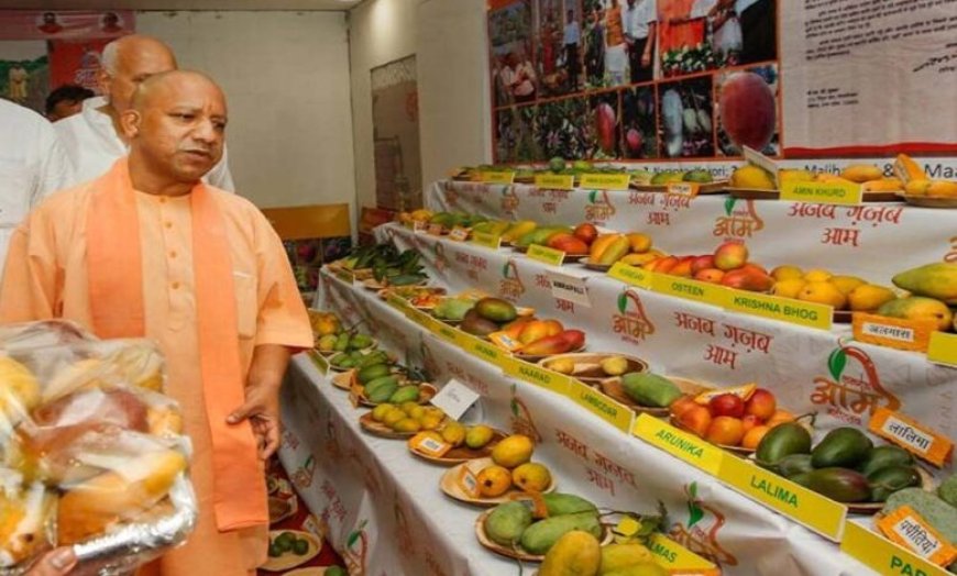 उत्तर प्रदेश आम महोत्सव 2026: सीएम योगी ने बताया—राज्य देश के 26% आम उत्पादन का केंद्र