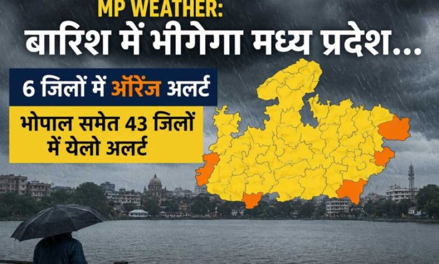 MP Weather: मध्य प्रदेश में फिर बारिश का अलर्ट, 6 जिलों में ऑरेंज और भोपाल समेत 43 जिलों में येलो अलर्ट
