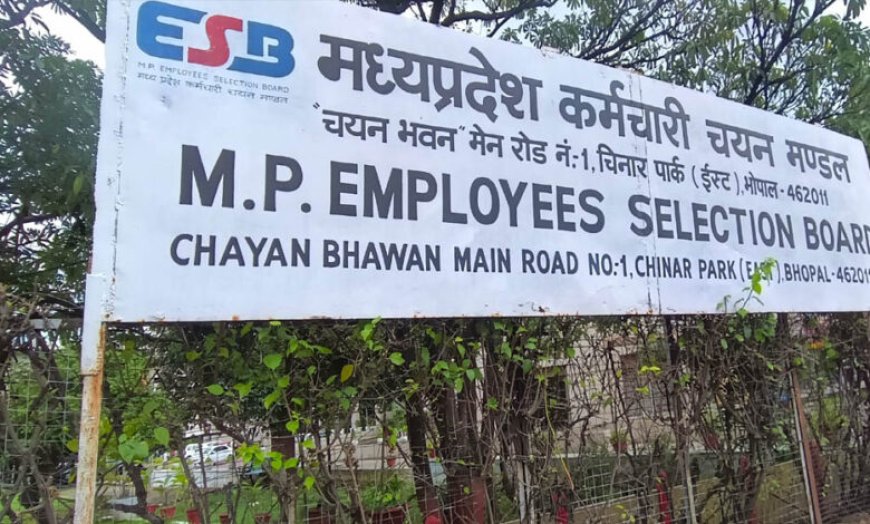 MP SI भर्ती का फाइनल रिजल्ट जारी! 436 अभ्यर्थियों का चयन, संजय परमार बने प्रदेश टॉपर
