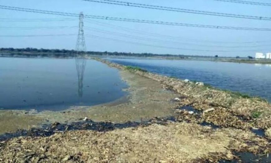 नजफगढ़ ड्रेन का गंदा पानी साफ करने को सरकार बनाएगी 29 नए डीएसटीपी प्लांट जल्द