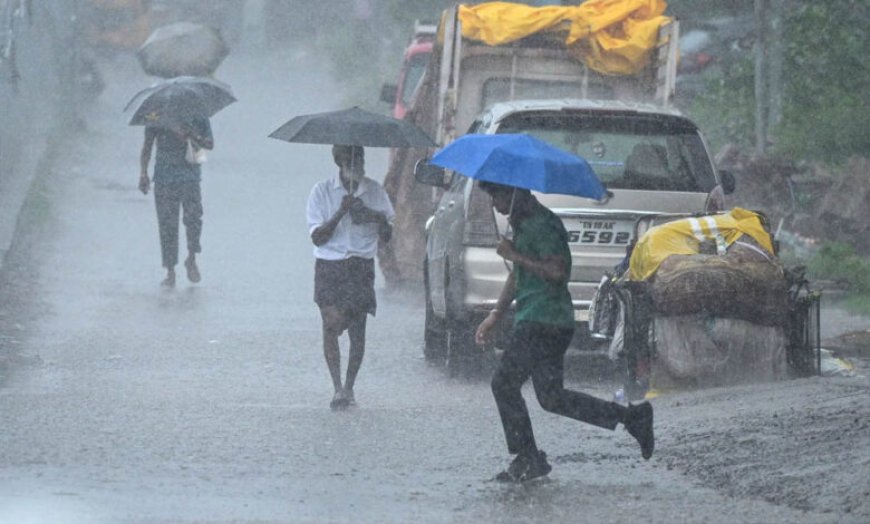 MP Weather Alert: ग्वालियर-चंबल में आज भारी बारिश, भिंड में रेड अलर्ट; उज्जैन-सागर भी होंगे तरबतर