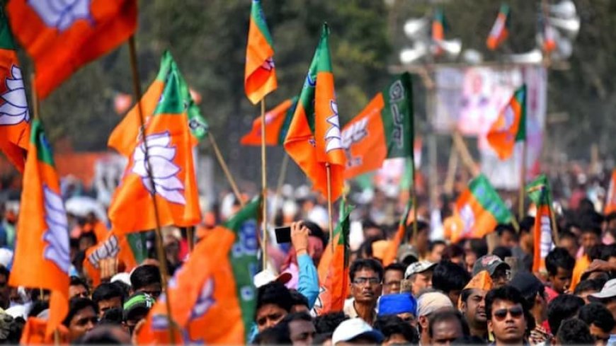भाजपा में बदले सियासी समीकरण, निखिल सोनी की नियुक्ति से कई नेताओं के बदले राजनीतिक समीकरण