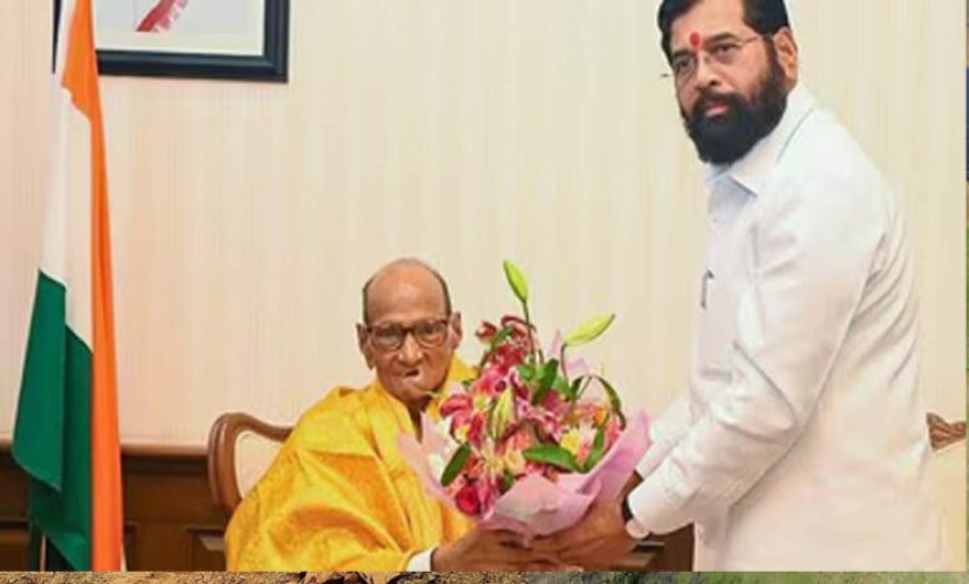 महाराष्ट्र में सियासी हलचल तेज! शिंदे के दफ्तर पहुंचे शरद पवार, NCP विधायकों संग बैठक से NDA में शामिल होने की अटकलें