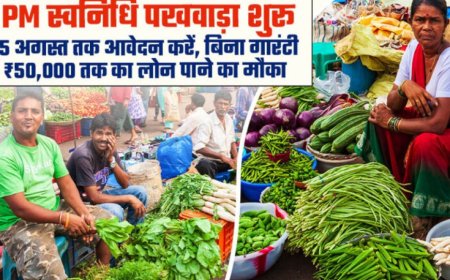 प्रदेश में 1 से 15 अगस्त तक आयोजित हो रहा विशेष स्वनिधि पखवाड़ा