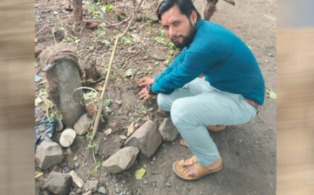 प्रदेश संगठन मंत्री चंद्रशेखर राठौर ने लगाए आम का पौधे