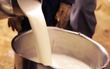 CG में मिलावटखोरों पर सख्त हुए स्वास्थ्य मंत्री, दूध-दही और मक्खन में गड़बड़ी करने वालों को चेतावनी