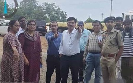 CG में बाढ़ से क्षतिग्रस्त पुलिया का कलेक्टर ने किया निरीक्षण, जल्द मरम्मत के दिए निर्देश