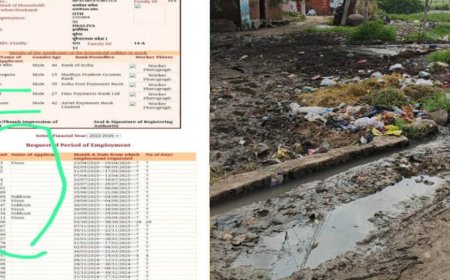 इमिलिया पंचायत जांच पर उठे सवाल: शिकायतकर्ता को दरकिनार कर तैयार हुई रिपोर्ट?