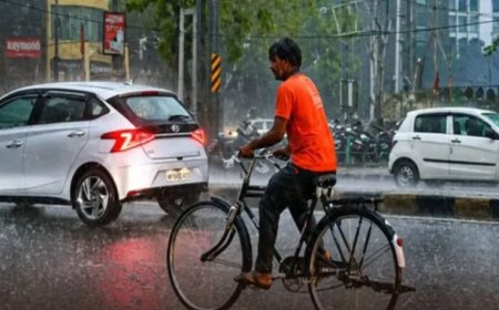 MP Weather Alert: मध्य प्रदेश के 52 जिलों में बारिश की चेतावनी, पन्ना-सतना-रीवा में भारी बारिश और उफान पर नदियां