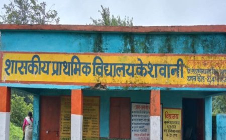 शा.प्रा.वि. केसवानी में पत्रकारों को जानकारी देने से मना, बोले बिना लिखित आदेश जवाब नहीं देंगे