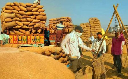 MP Krishi Mandi Categorization: 6 करोड़ कमाई और 2.5 लाख टन आवक पर मिलेगी ‘क’ श्रेणी, जानें मध्य प्रदेश सरकार का नया फॉर्मूला