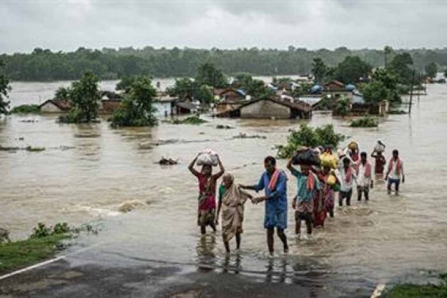 CG में राहत अभियान के बाद अब पुनर्वास पर जोर, बाढ़ प्रभावितों के लिए सरकार की नई तैयारी